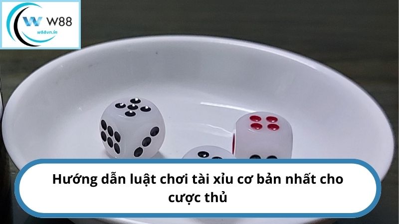 Hướng dẫn luật chơi tài xỉu cơ bản nhất cho cược thủ