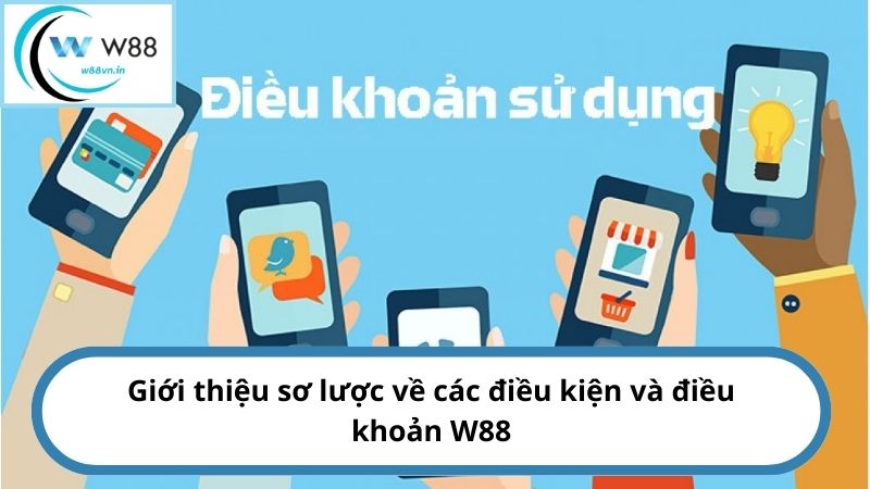 Giới thiệu sơ lược về các điều kiện và điều khoản W88